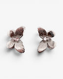 Puces d'oreilles Papillon Brillant Dorées - BEQUEEN PARIS